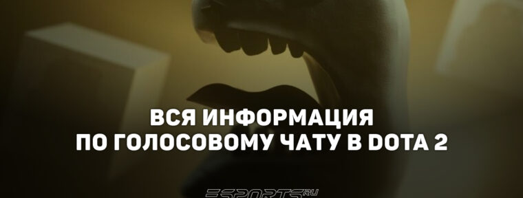 Голосовой чат в Dota 2: вся информация