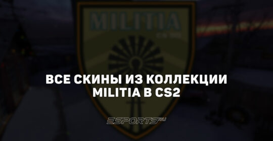 Все скины из коллекции Militia в CS2