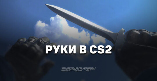 Руки в CS2