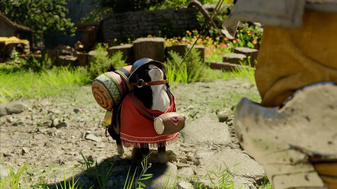 Crimson Desert pet cosmetics