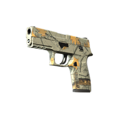 P250 | Современный охотник