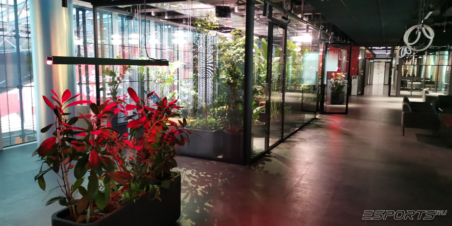 Московский кластер видеоигр и анимации — Зимний сад