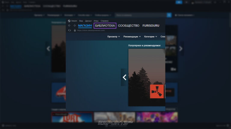 где найти библиотеку стим
