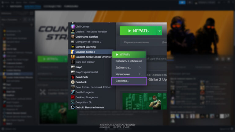 как открыть свой свойства игры стим