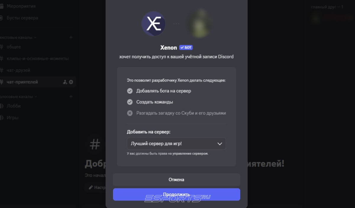 discord xenon добавить