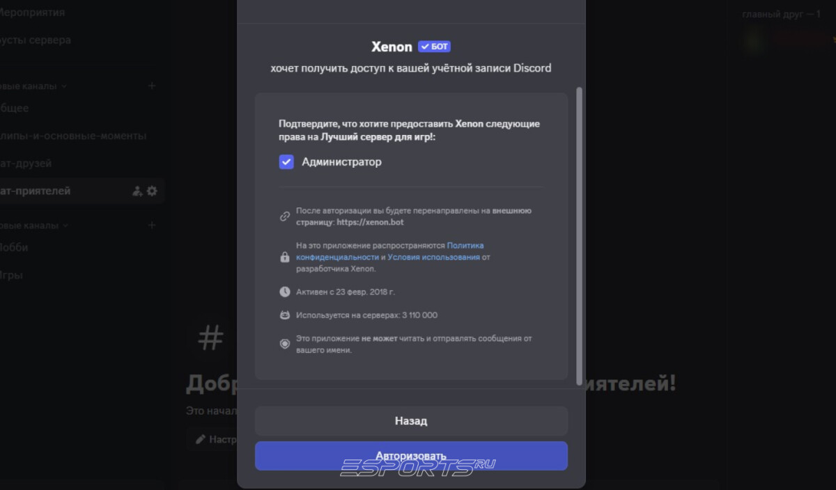 Discord Xenon команда