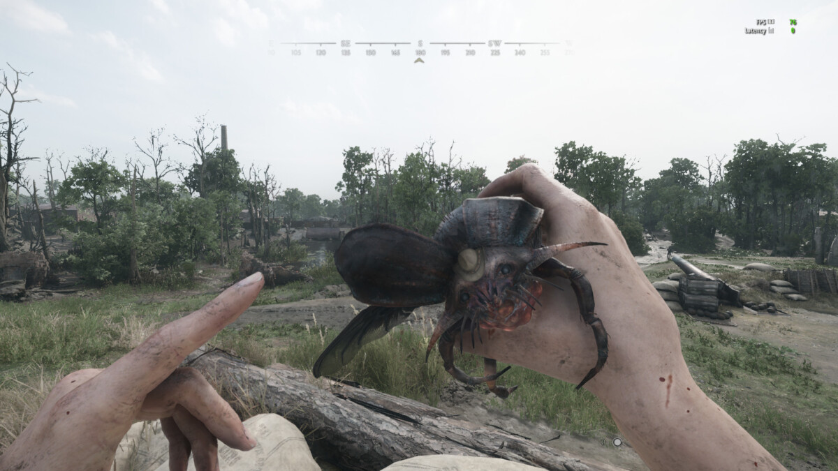 Ковбойский жук-ловец