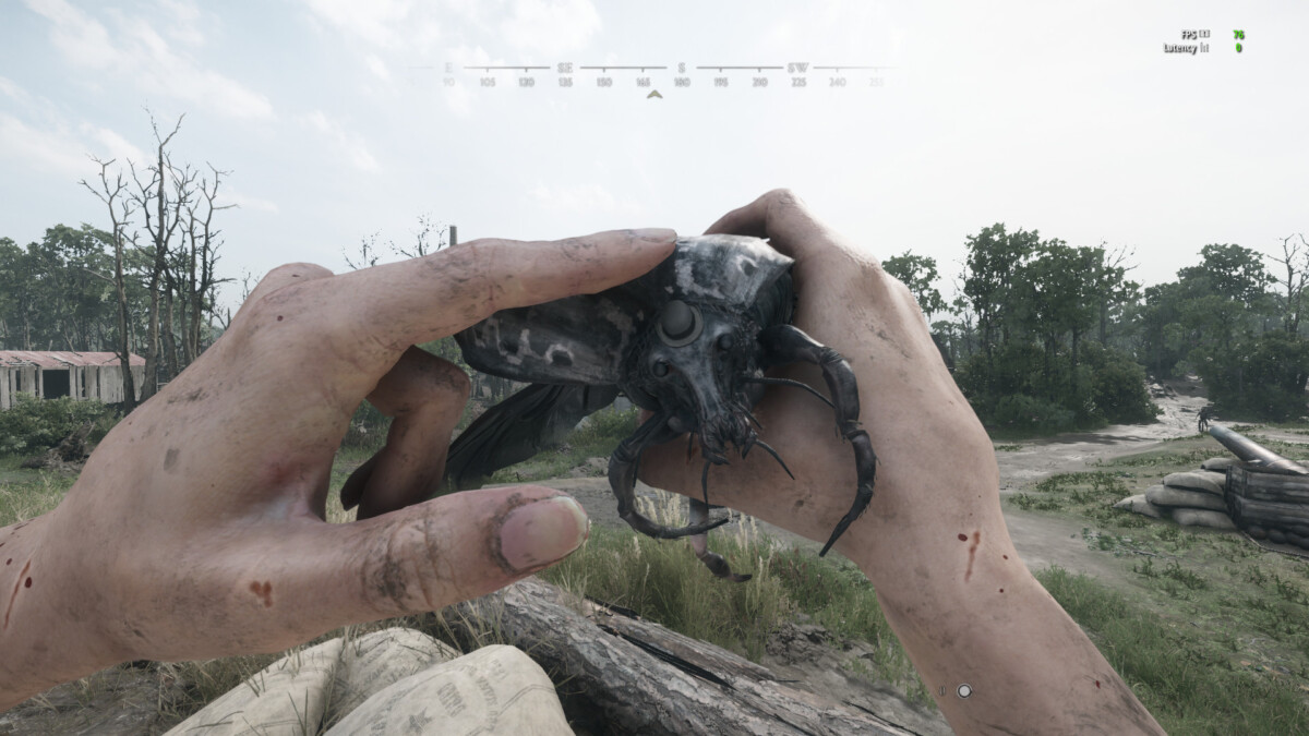 Ковбойский жук-душитель