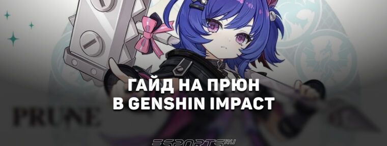 Гайд на Прюн в Genshim Impact: сигнатурный саппорт под Варку