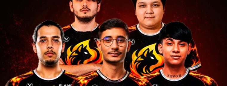 Flame Esports представили обновленный состав по Dota 2