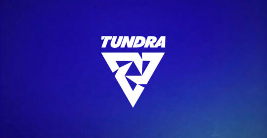 Tundra Esports выбили Xtreme Gaming в плей-офф DreamLeague Season 29