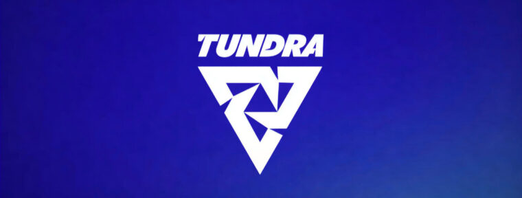 Tundra Esports могут приостановить деятельность и передать состав по Dota 2 в 1win Team