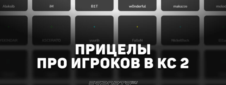 Прицелы про-игроков в CS2
