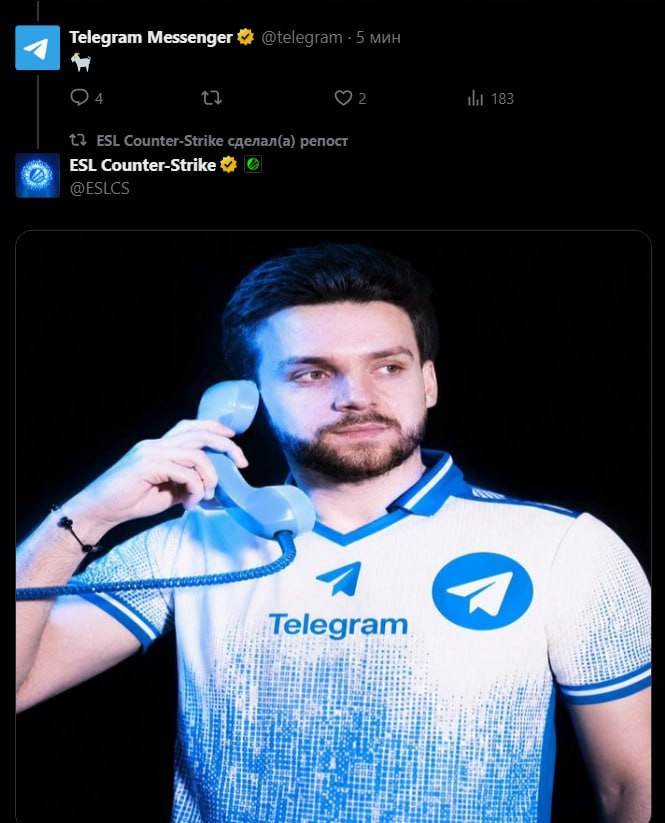 NiKo в форме Telegram
