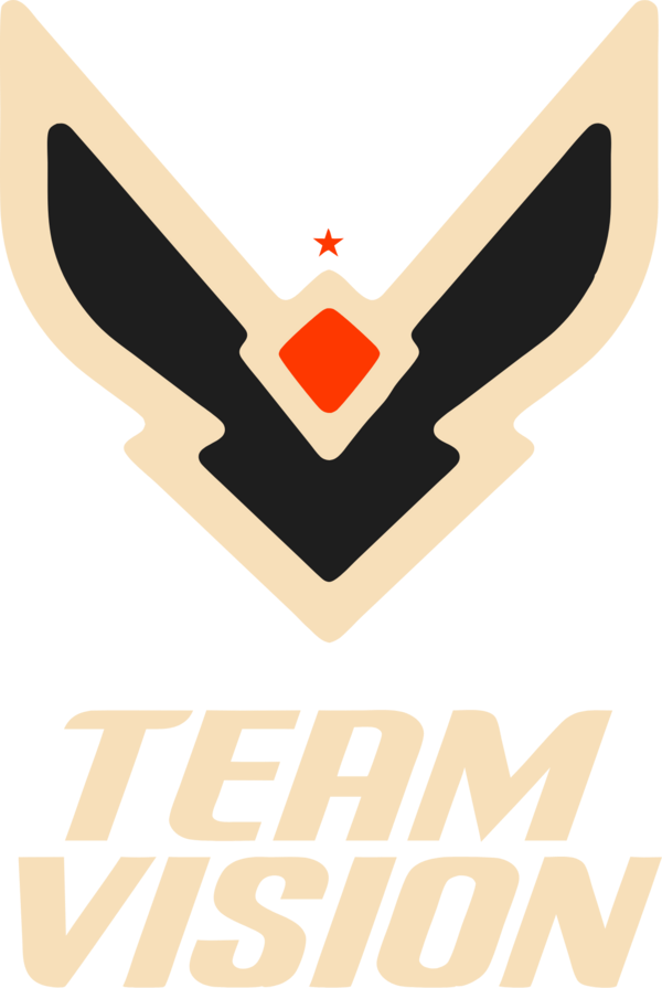 Team Vision