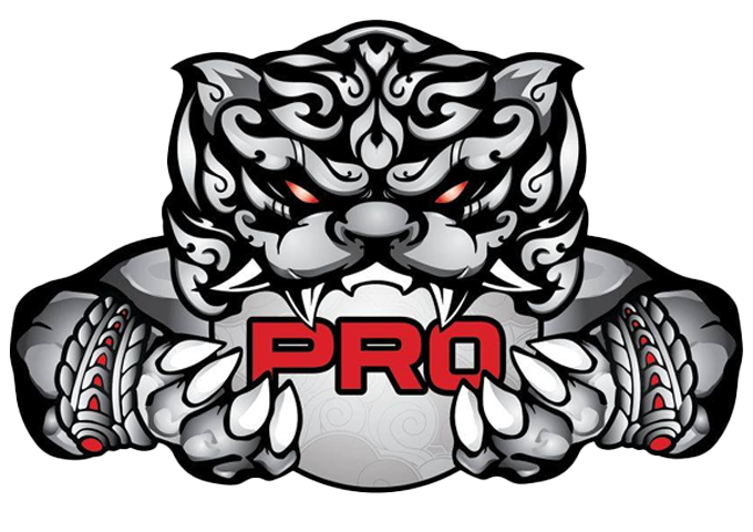 PRO Esports