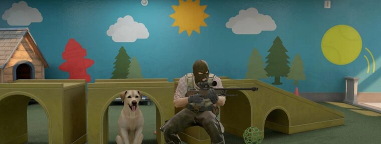 Shelter — в CS2 добавили карту со спасением питомцев