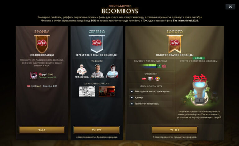 Содержимое бронзового, серебряного и золотого наборов поддержки команды BoomBoys (BetBoom Team)