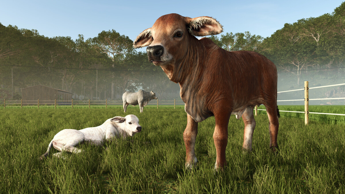 когда выйдет Farming Simulator 28 с учетом релиза Beans & Alpacas в октябре 2026 года