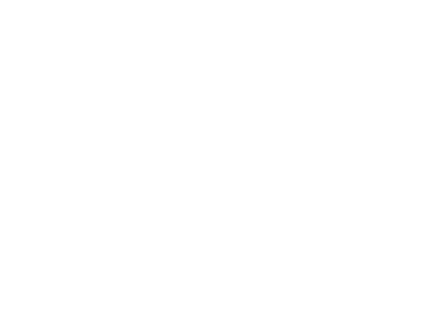 SAETA