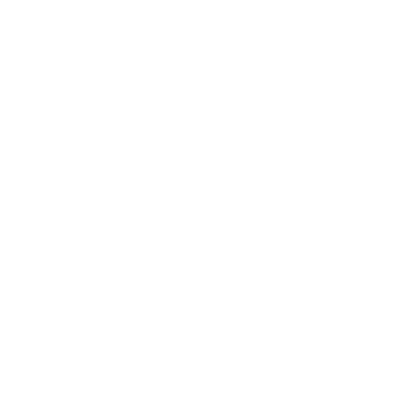 Team Orchid