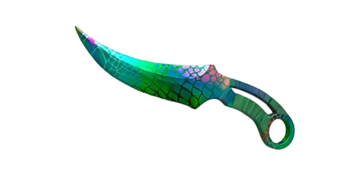 Fang 