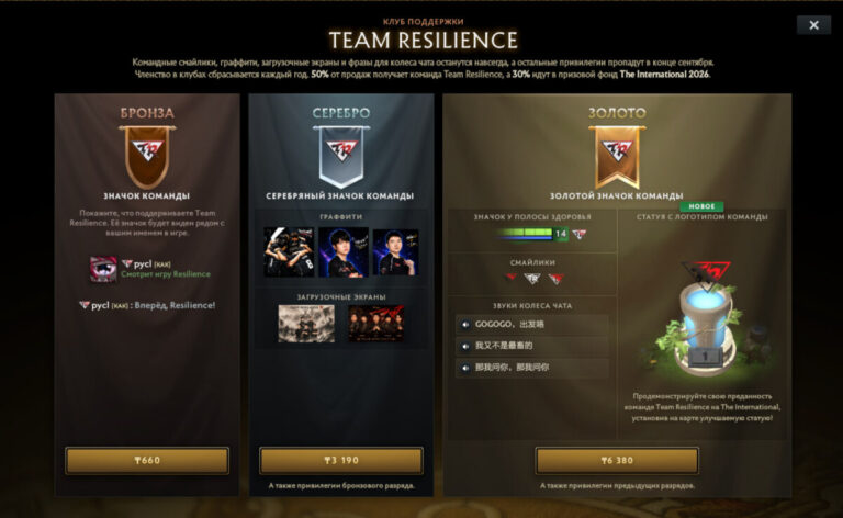 Содержимое бронзового, серебряного и золотого наборов поддержки команды Team Resilience