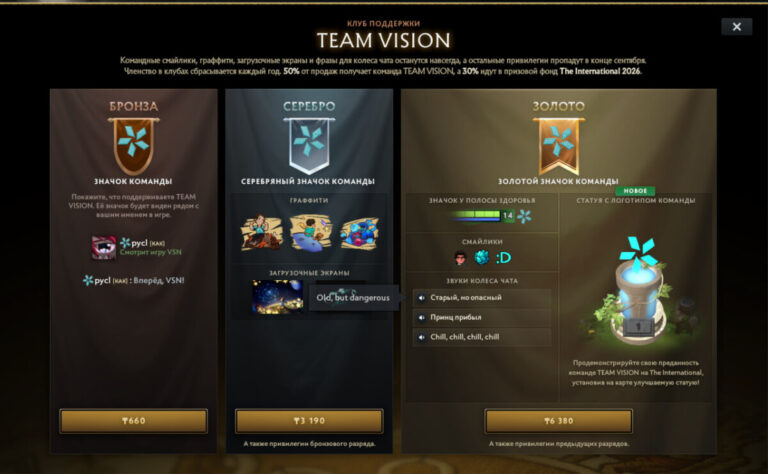 Содержимое бронзового, серебряного и золотого наборов поддержки команды Team Vision (PARIVISION)