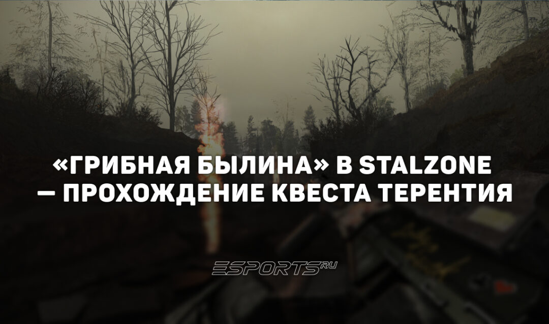 «Грибная былина» в STALZONE — прохождение квеста Терентия