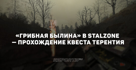 "Грибная былина" в STALZONE — прохождение квеста Терентия