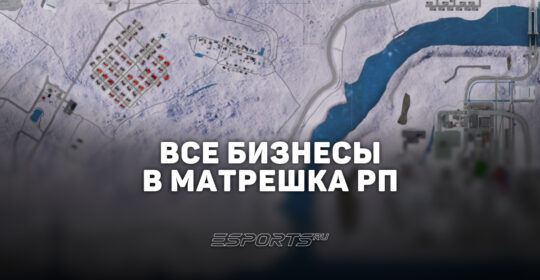 Все бизнесы в игре Matreska RP