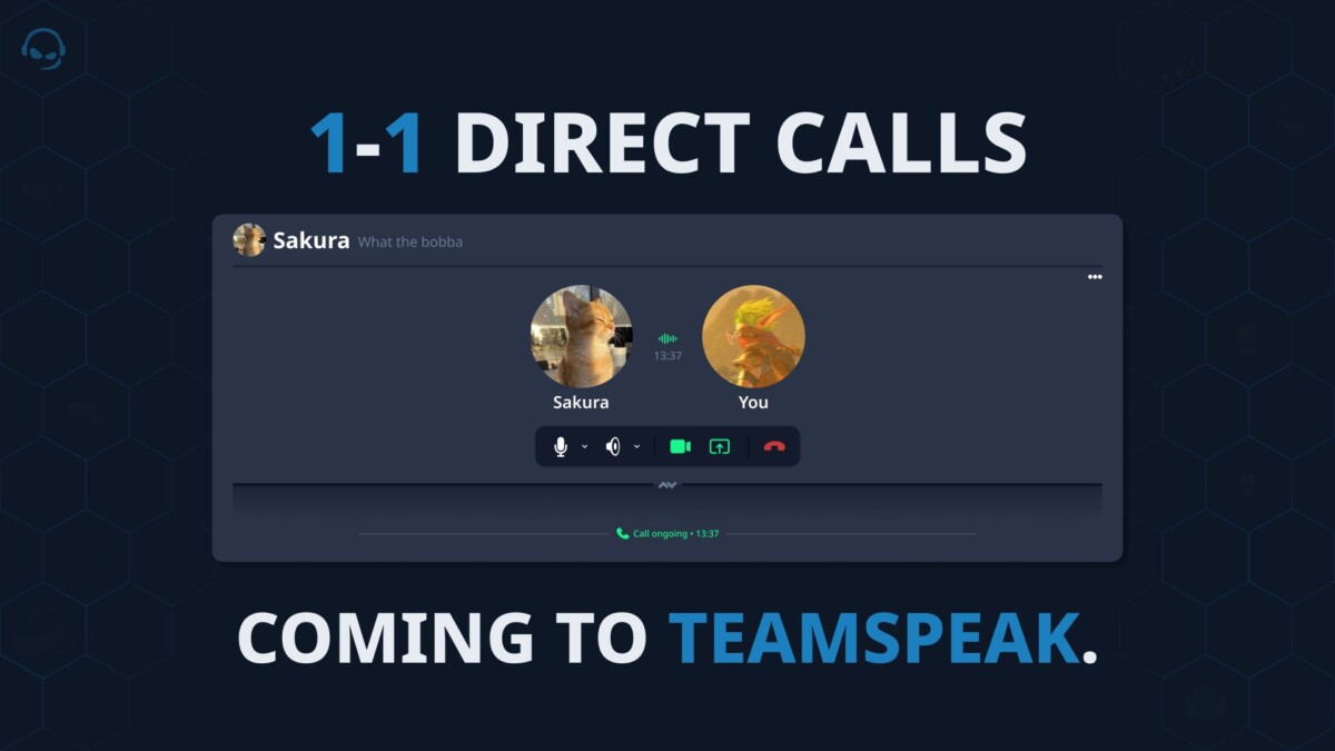TeamSpeak