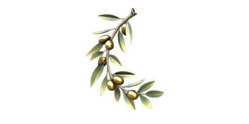Charm Olive Branch