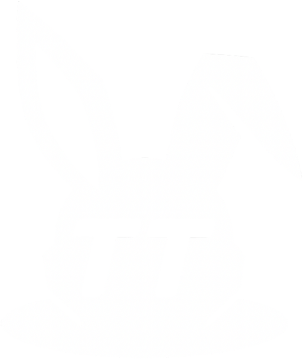 TT Project