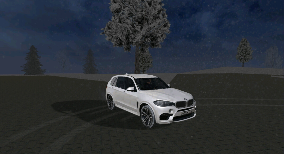 BMW X5M F85