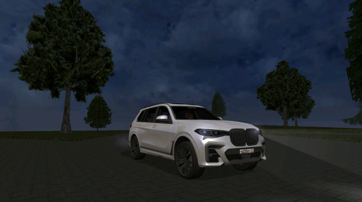 BMW X7