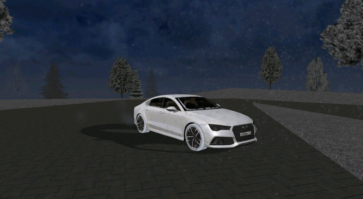 Audi RS7