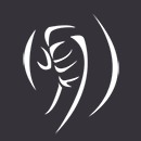 Landslide Fists в Warframe