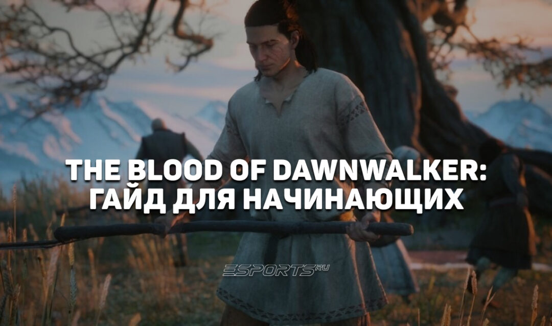 The Blood of Dawnwalker: полный гайд для начинающих