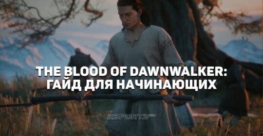 The Blood of Dawnwalker: полный гайд для начинающих