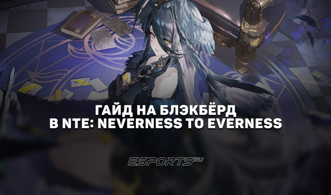 Гайд на Блэкбёрд в NTE: Neverness to Everness: лучшие отряды, прокачка и билд