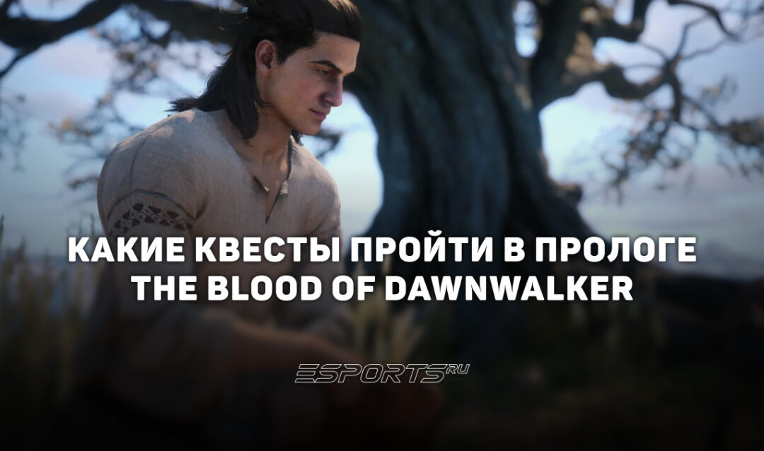 Как оптимальнее всего пройти пролог в The Blood of Dawnwalker — порядок и прохождение квестов