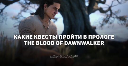 Как оптимальнее всего пройти пролог в The Blood of Dawnwalker — порядок и прохождение квестов
