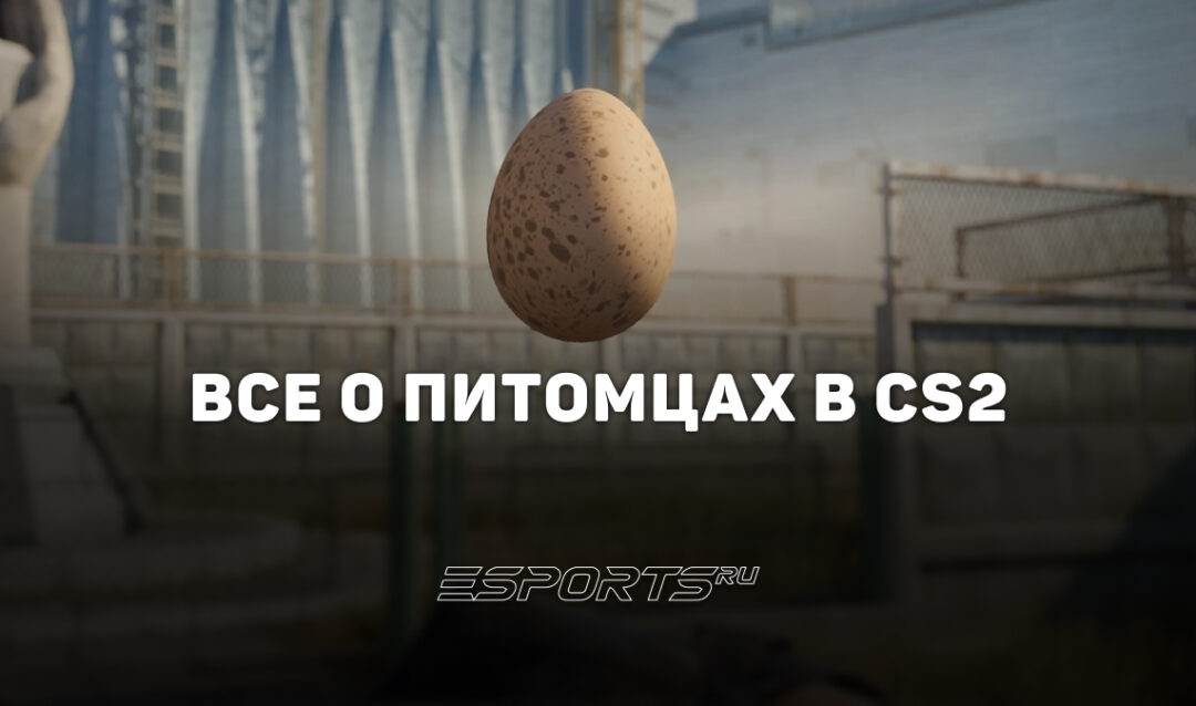 Питомцы в CS2: как получить курочку, вырастить ее и какие виды есть
