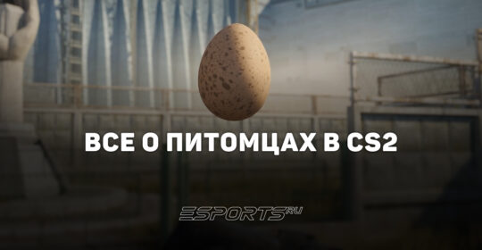 Питомцы в CS2: как получить курочку, вырастить ее и какие виды есть