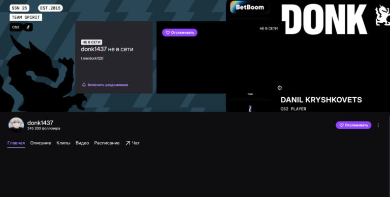 Twitch-канал Donk