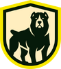 Solo Team Logo
