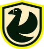 NS Team Logo