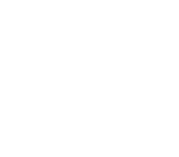 Void Esports