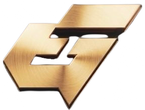 Force Esports